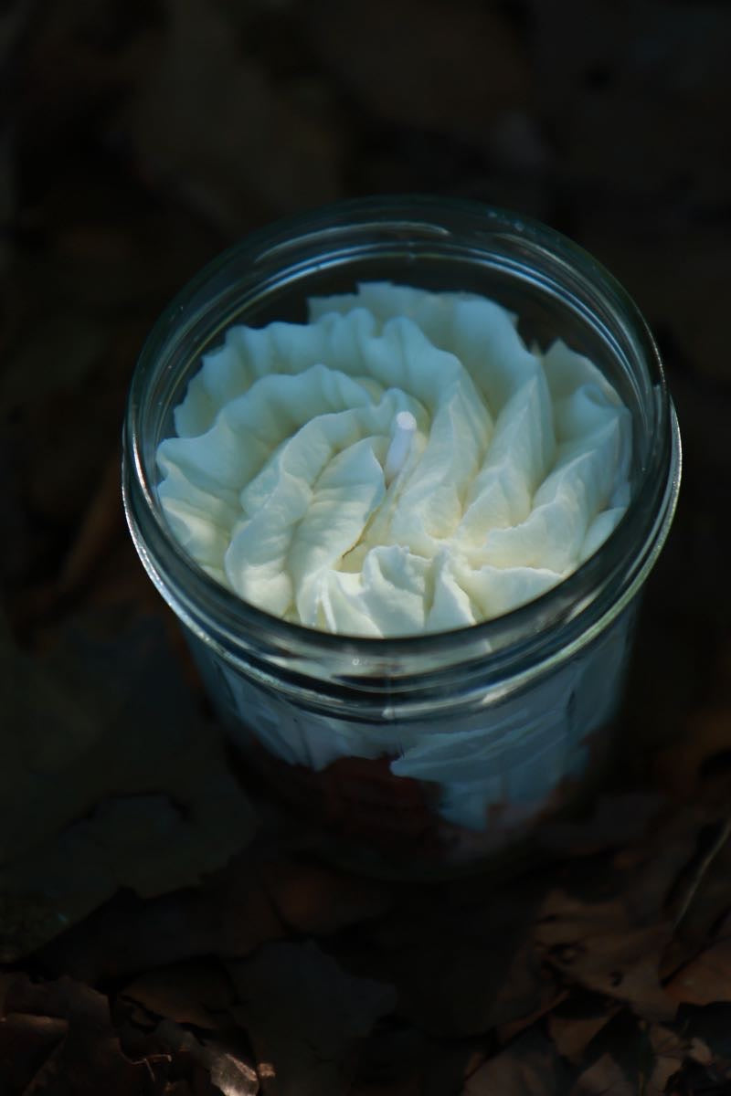 Bougie Coco des Îles_L'Européenne de Luxe