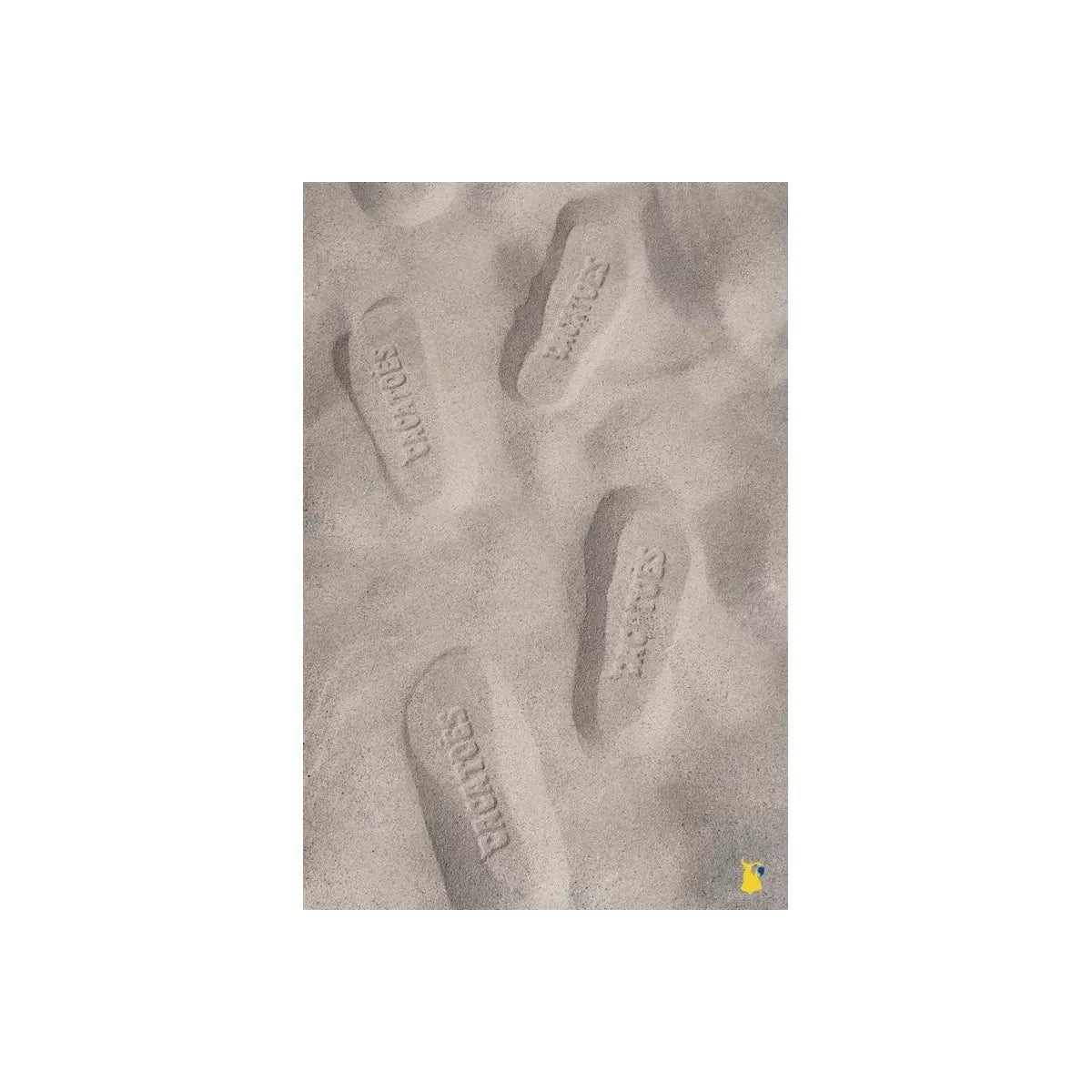 Cacatoès Trancoso  Navy multico